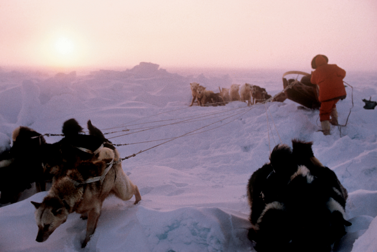 58_dogteams_roughice_AAO