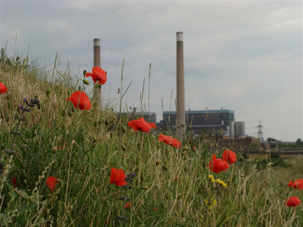 Power plant