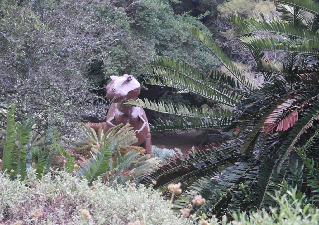A bit of a surprise in the undergrowth at the Kirstenbosch botanical gardens.