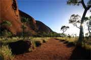 Ayers Rock/Uluru