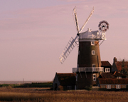 Norfolk