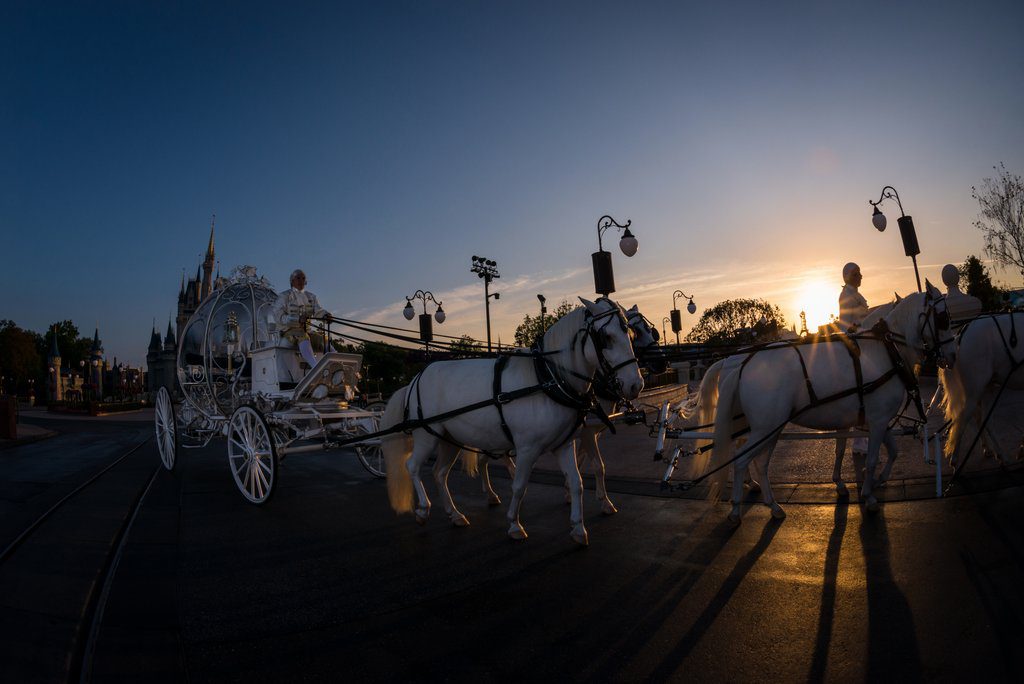 Image from Disney Weddings