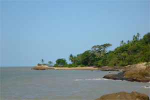 French Guiana coast