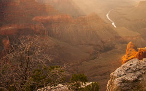 Grand Canyon sunshine