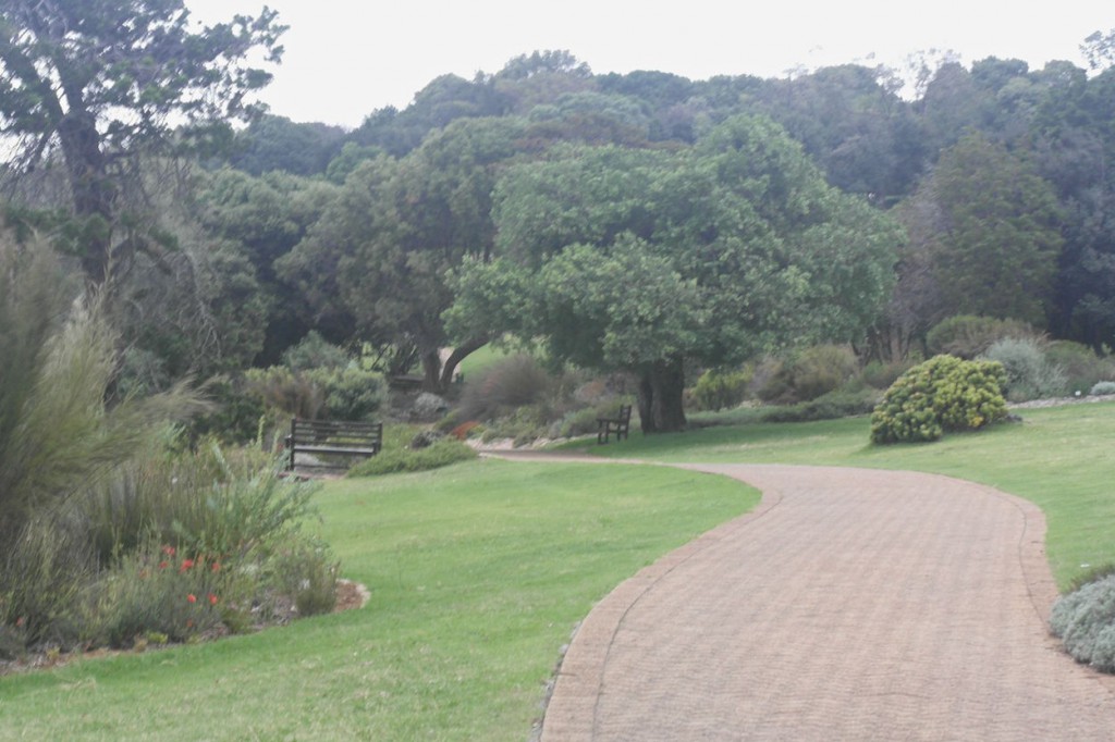 Kirstenbosch botanical gardens.