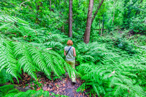 La Palma National Park