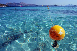 Majorca 2013