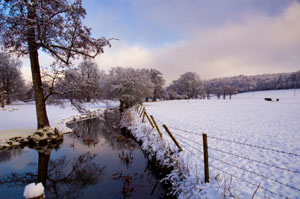 Marlow winter
