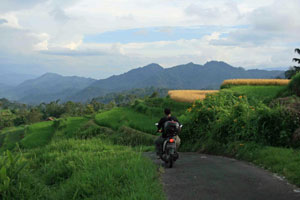 Minangkabau Countryside
