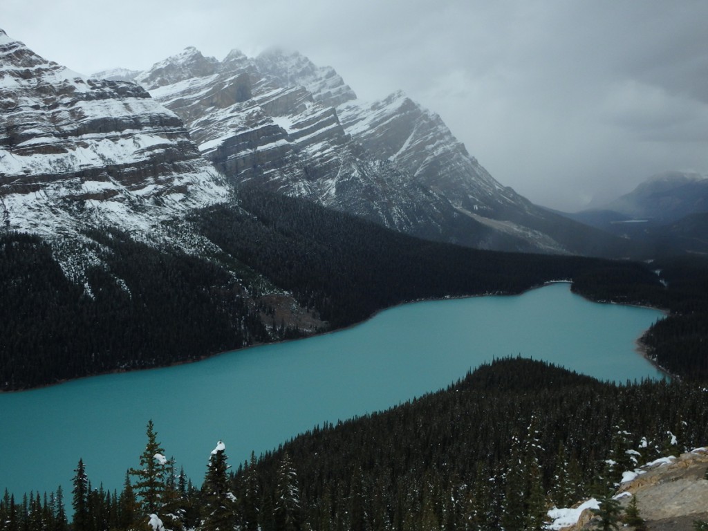 Peyto Lake