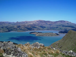 Port Hills view