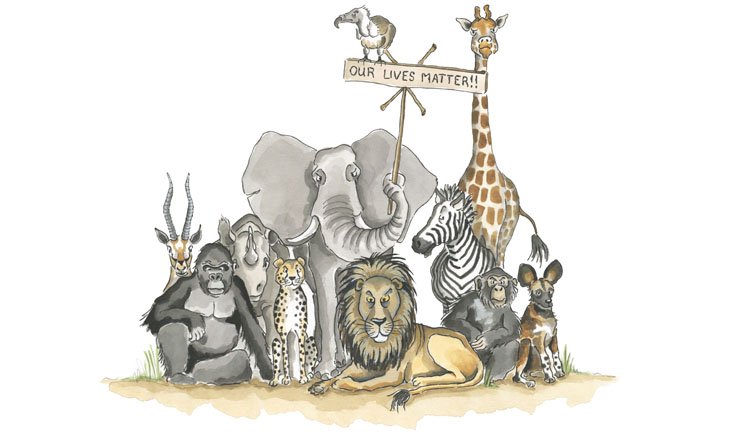 Sketch for Survival Exhibition