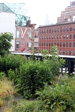 The High Line