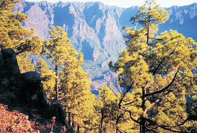 the caldera from the inside