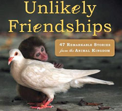 Unlikely Friendships