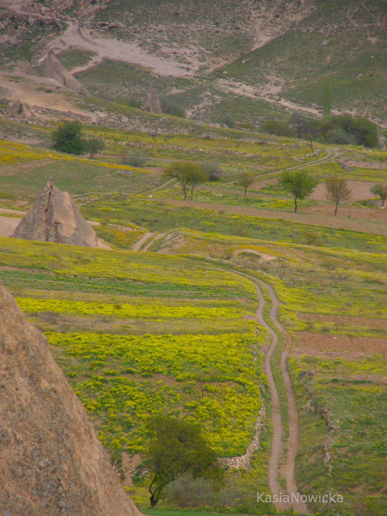 valley view