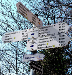 Sign Post-Black Forest