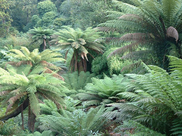 gardens 1