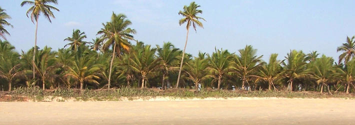 goa