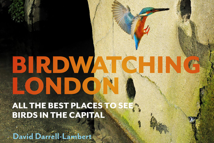 Top five places to go birdwatching in London