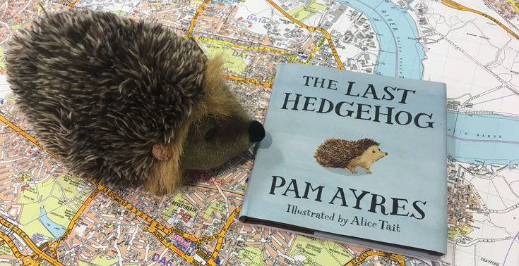 Hedgehog Awareness Week