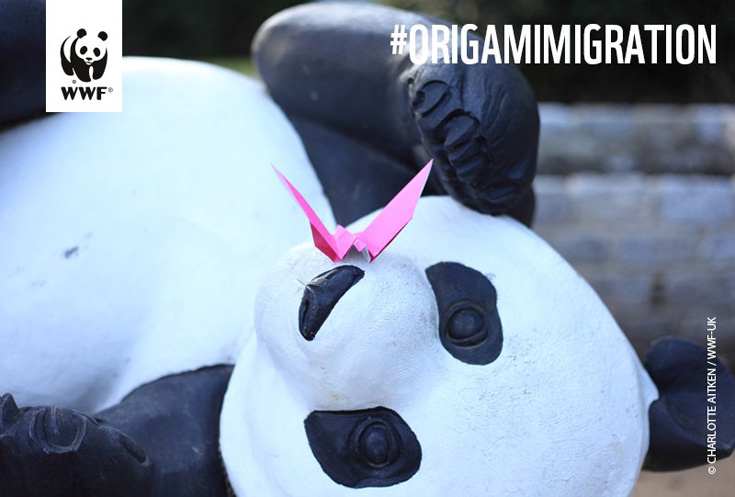 WWF Origami Migration