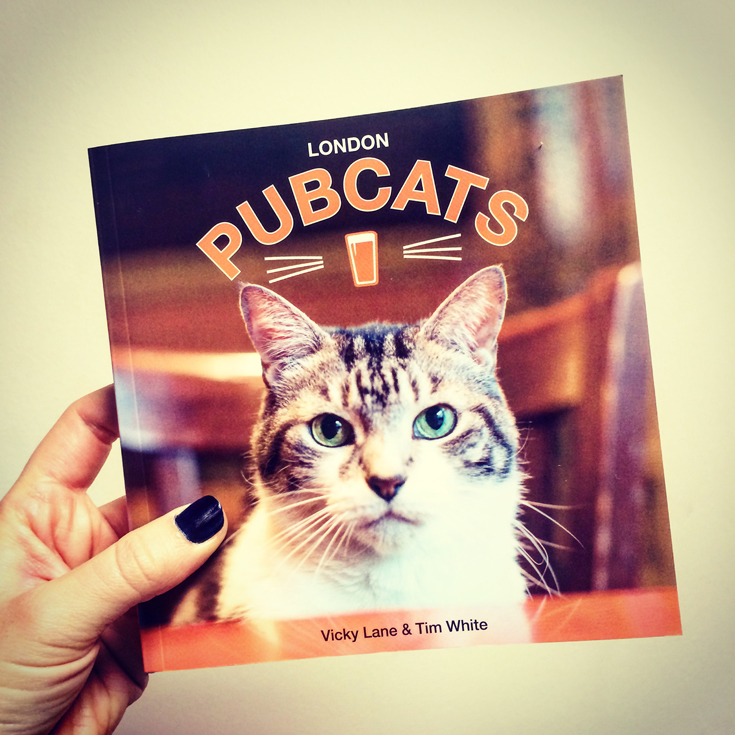 pubcats