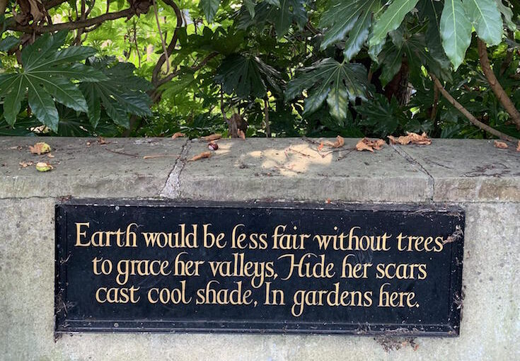 National Tree Week